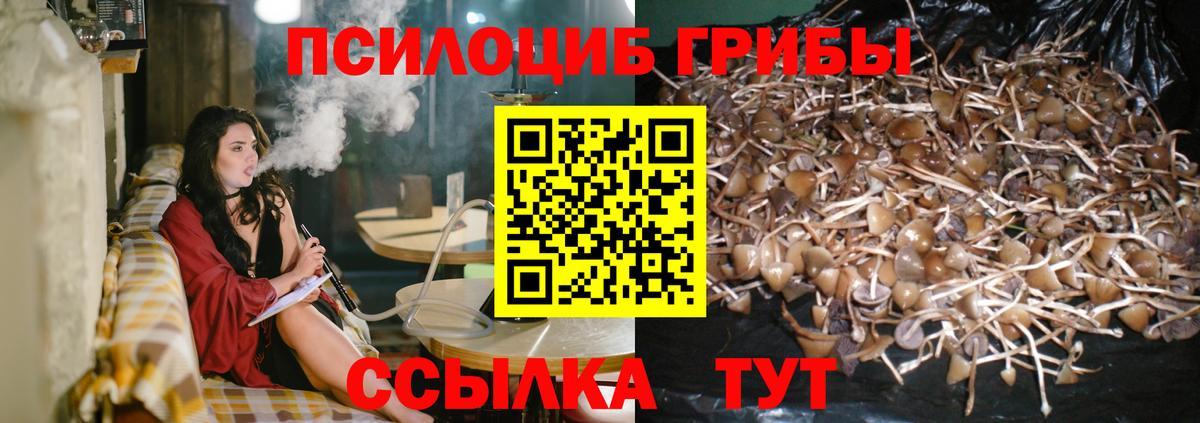 Галлюциногенные грибы мицелий Шумерля