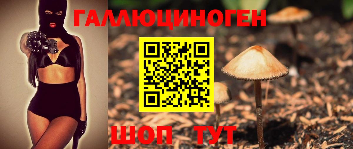 Псилоцибиновые грибы MAGIC MUSHROOMS  Вход с VPN  где найти наркотики  Шумерля  Галлюциногенные грибы мицелий 